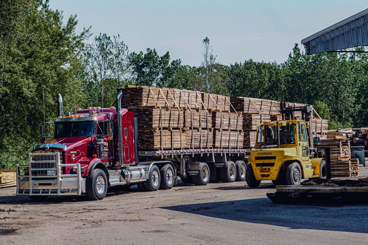 Buyers of Standing Timber Michigan, Indiana, Ohio Buskirk Lumber